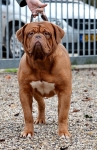 Filename=unnamed_(22)~0.jpg
Filesize=352KB
Dimensions=492x758
Date added=Oct 31, 2014 unnamed_(22)~0.jpg