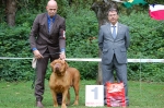 Filename=wetzlar_567.JPG
Filesize=2063KB
Dimensions=2048x1358
Date added=Aug 18, 2014 wetzlar_567.JPG